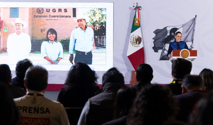 Imagen relativa a la nota.