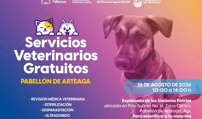 Imagen relativa a la nota.
