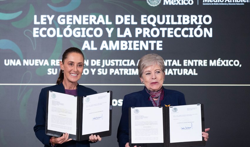 Imagen relativa a la nota.