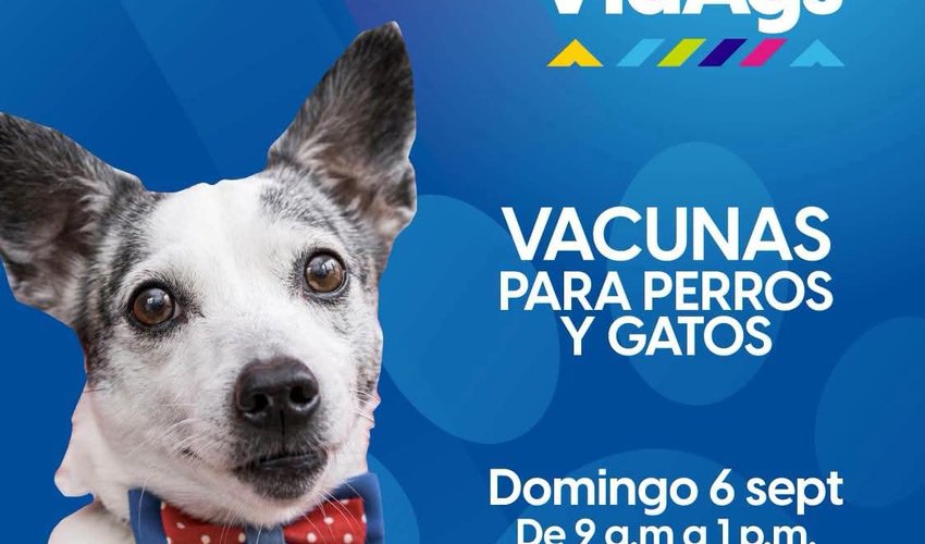 Imagen relativa a la nota.