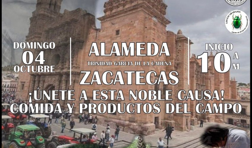 Imagen relativa a la nota.